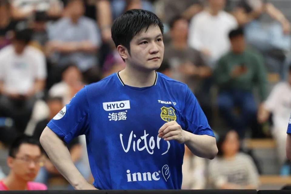 量身定制的 量身定制的