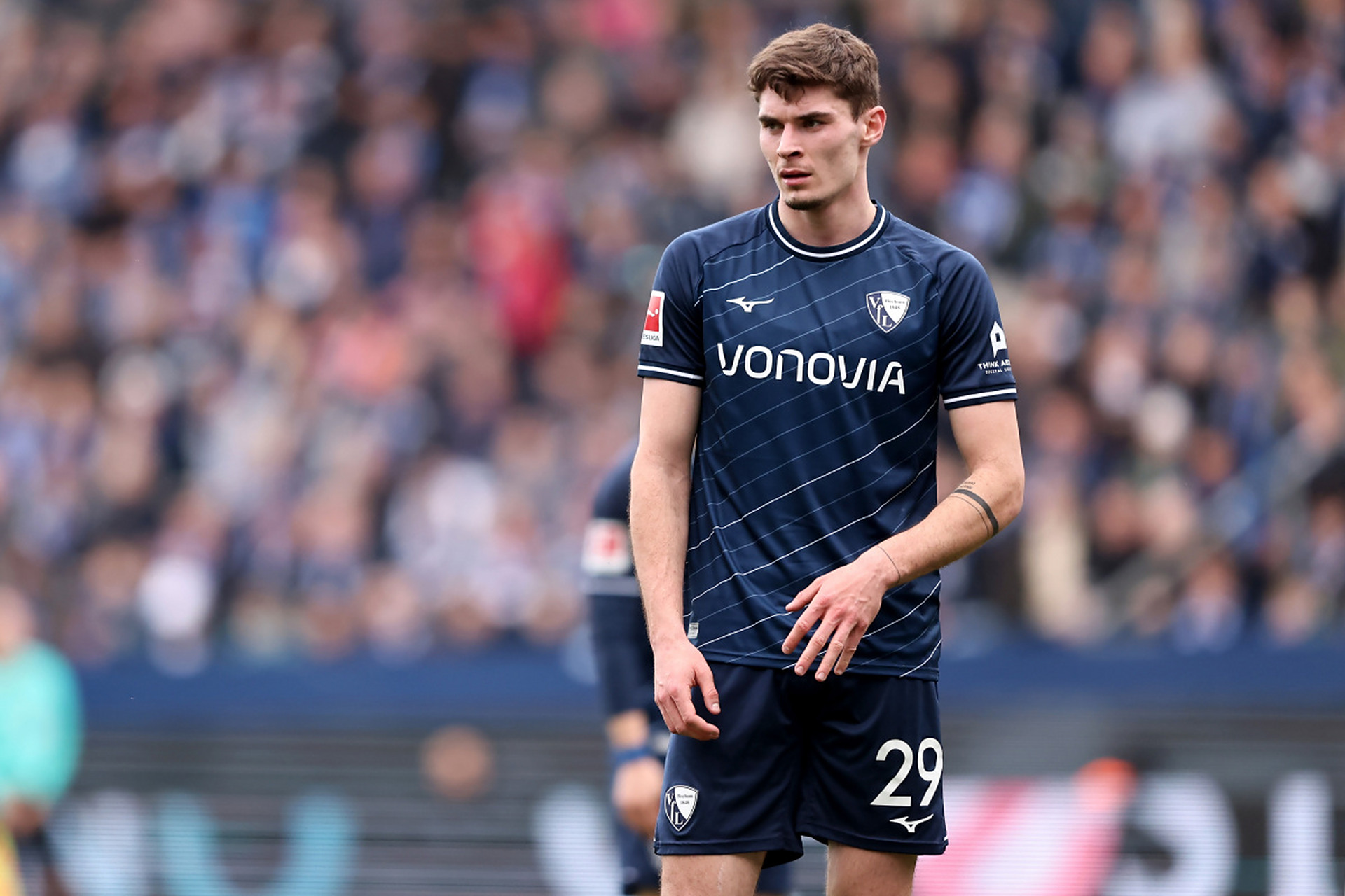 府提供了更 府提供了更